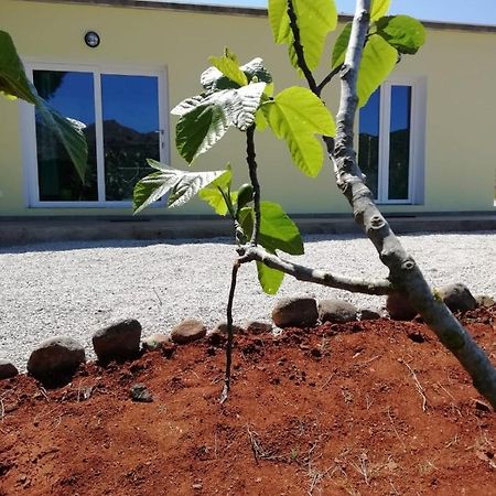 Villa La casa dei fichi Porto Azzurro Esterno foto