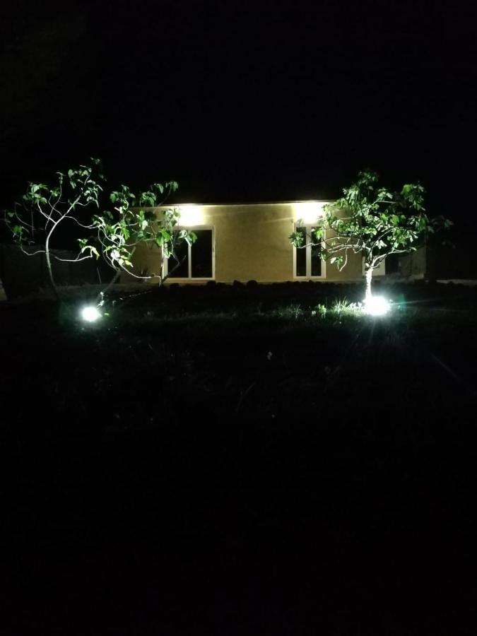 Villa La casa dei fichi Porto Azzurro Esterno foto